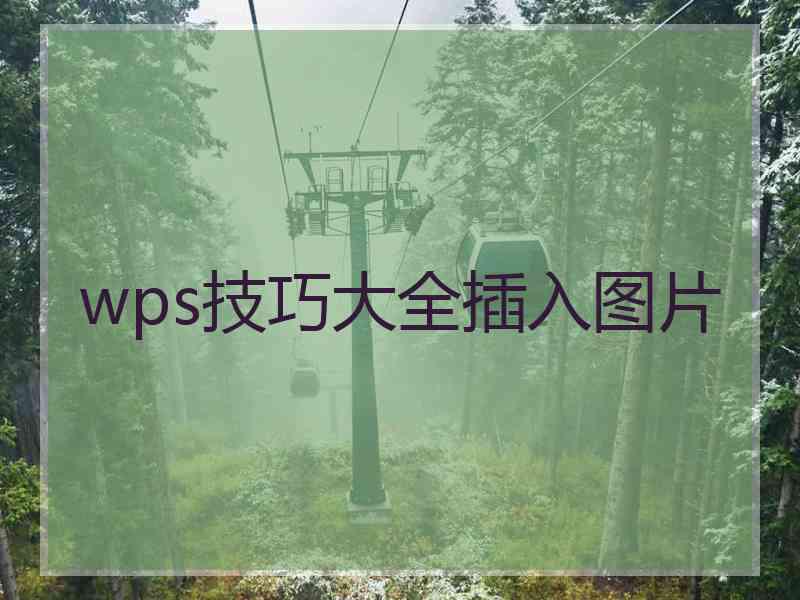 wps技巧大全插入图片