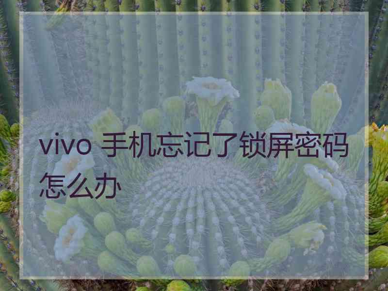 vivo 手机忘记了锁屏密码怎么办