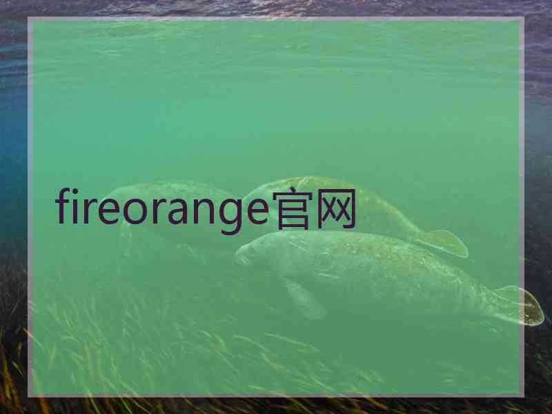 fireorange官网