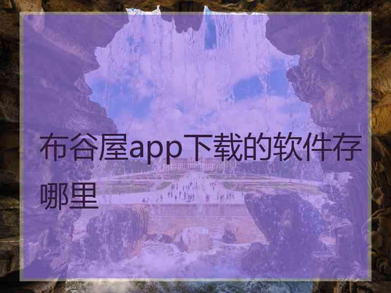 布谷屋app下载的软件存哪里