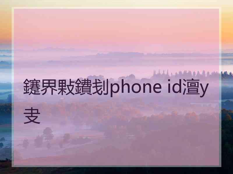 鑳界敤鐨刬phone id澶у叏