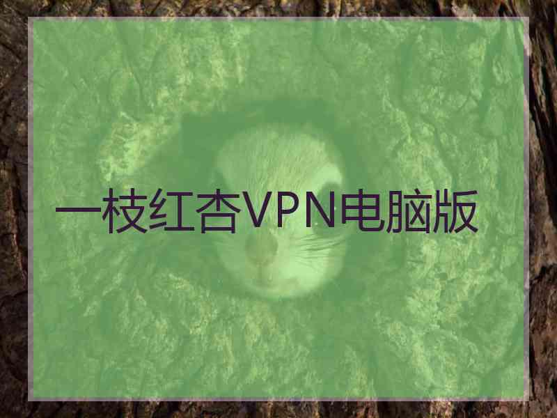 一枝红杏VPN电脑版