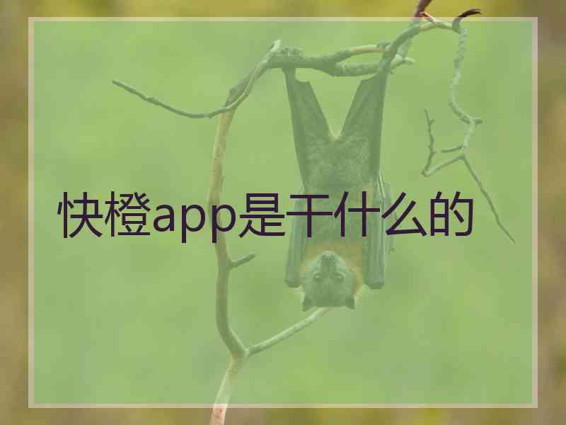 快橙app是干什么的