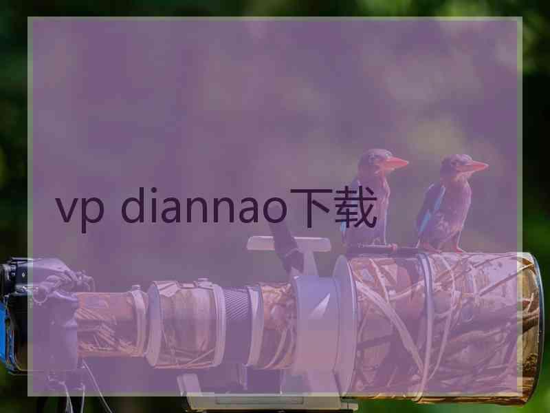 vp diannao下载