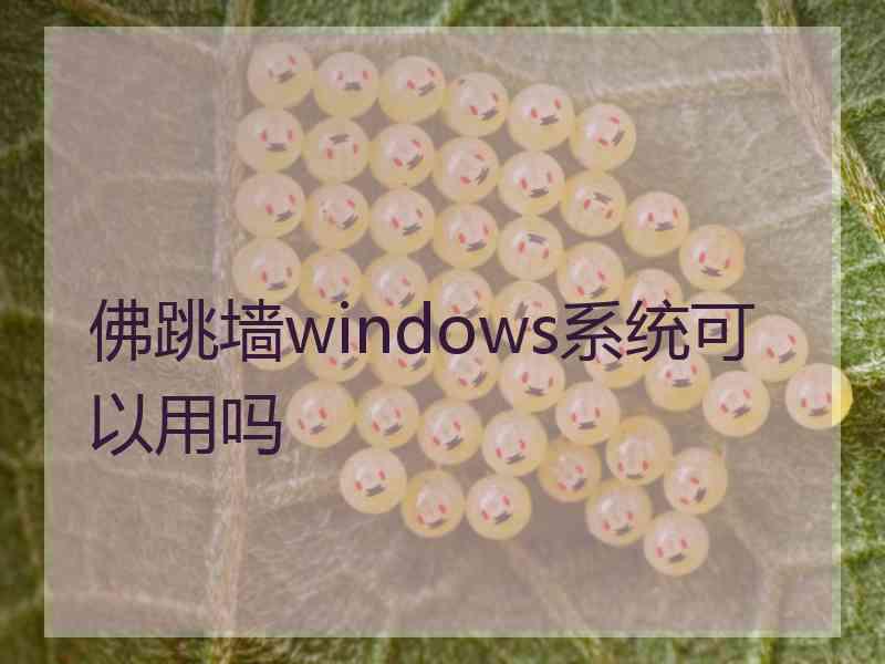 佛跳墙windows系统可以用吗