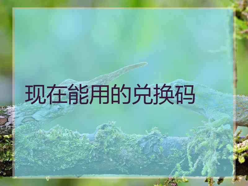 现在能用的兑换码