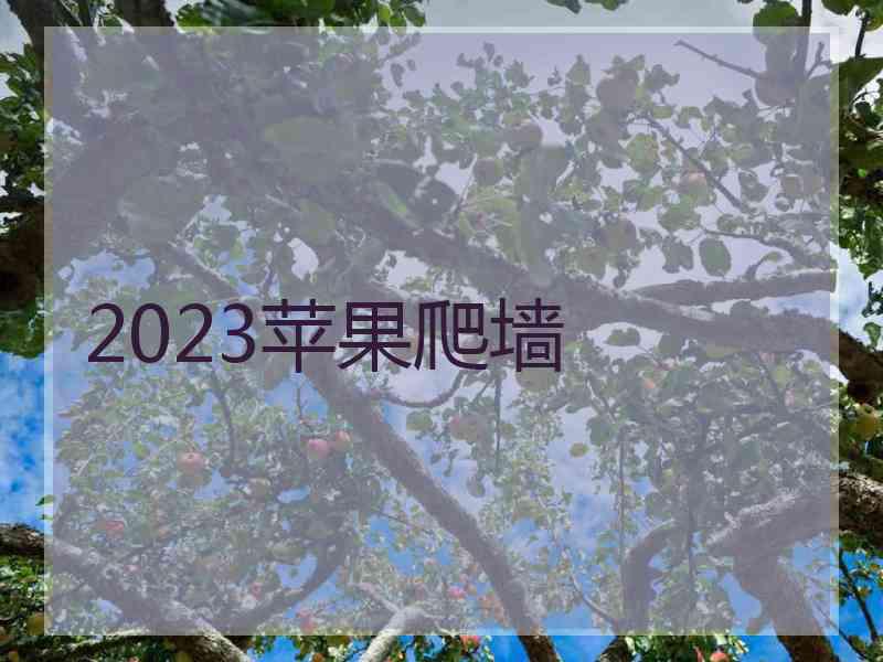 2023苹果爬墙