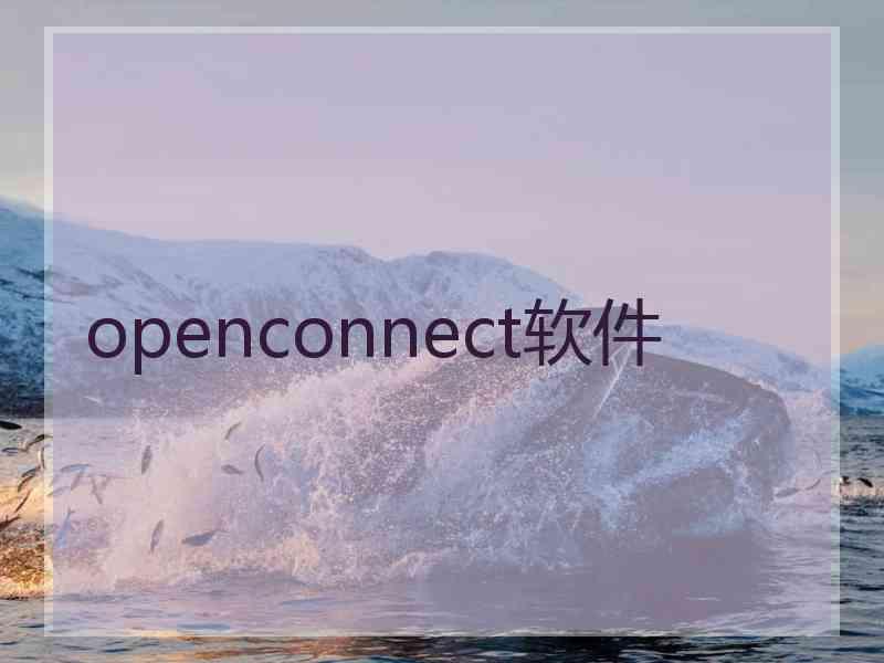 openconnect软件