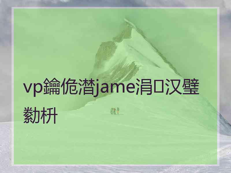 vp鑰佹澘jame涓汉璧勬枡