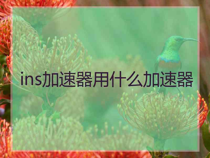 ins加速器用什么加速器