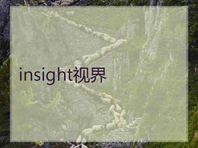 insight视界