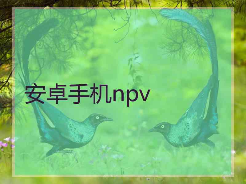 安卓手机npv