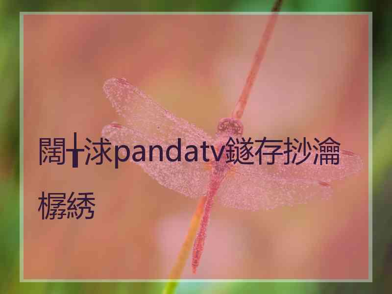 闊╁浗pandatv鐩存挱瀹樼綉