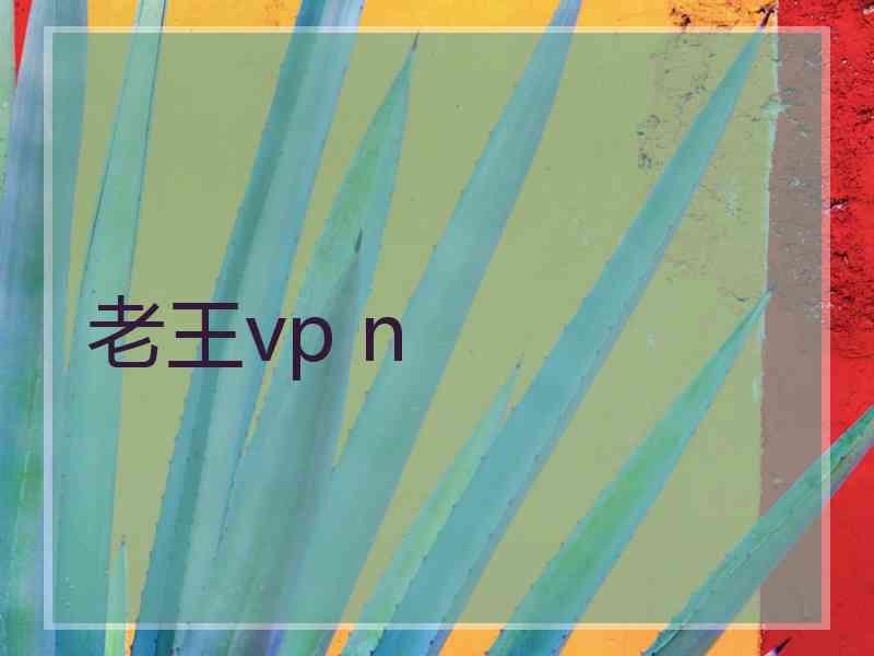 老王vp n