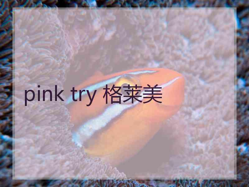 pink try 格莱美