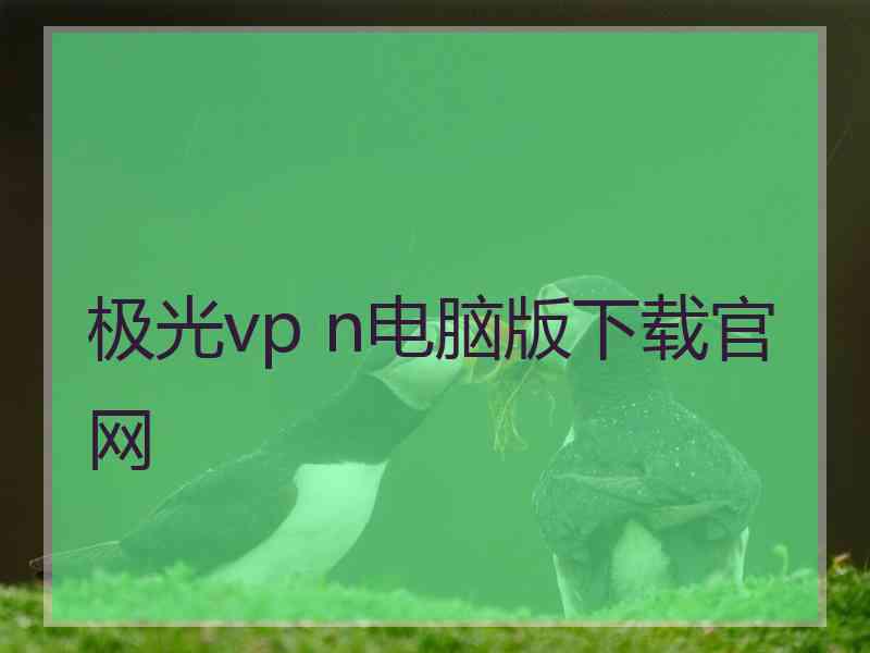 极光vp n电脑版下载官网