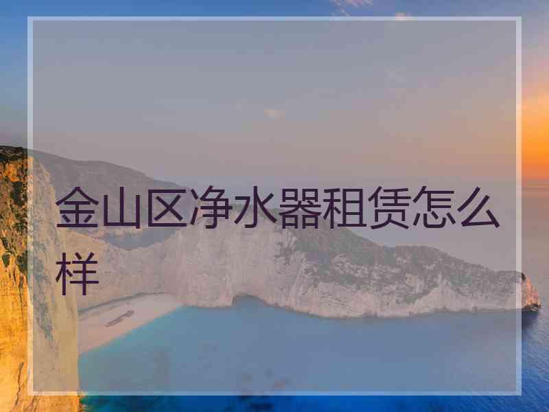 金山区净水器租赁怎么样