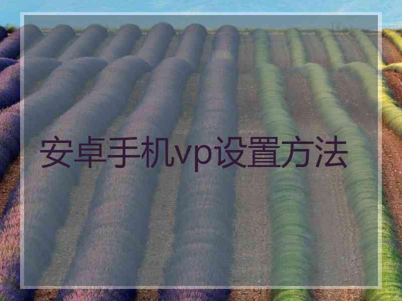 安卓手机vp设置方法