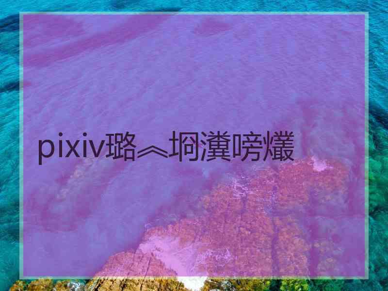 pixiv璐︽埛瀵嗙爜