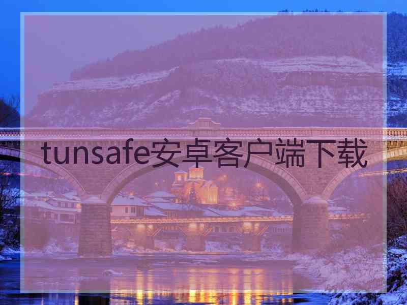 tunsafe安卓客户端下载