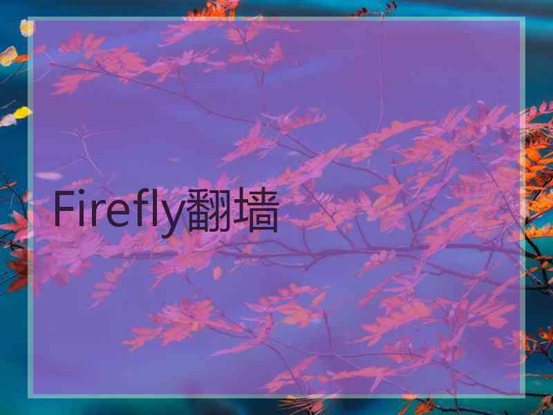 Firefly翻墙