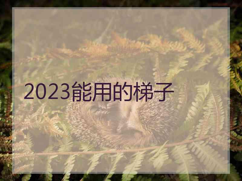 2023能用的梯子