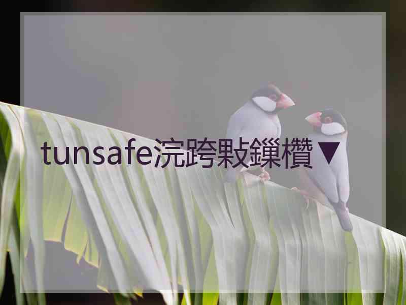 tunsafe浣跨敤鏁欑▼