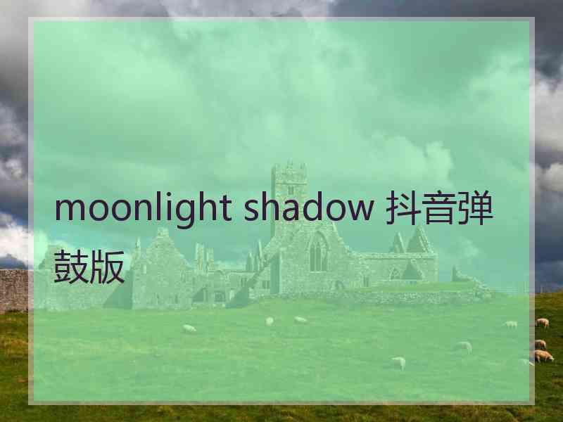 moonlight shadow 抖音弹鼓版