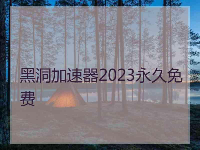 黑洞加速器2023永久免费