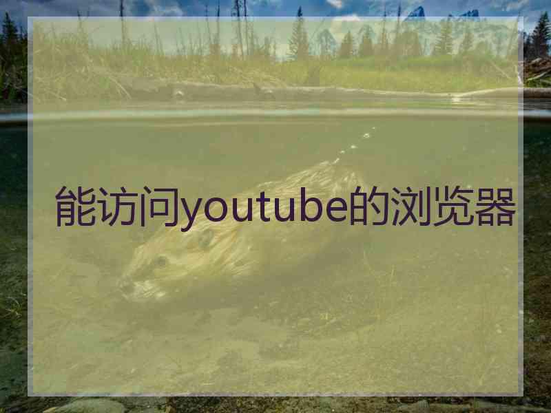 能访问youtube的浏览器