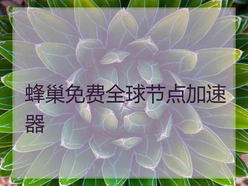 蜂巢免费全球节点加速器