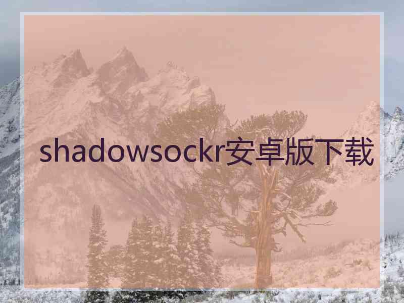 shadowsockr安卓版下载