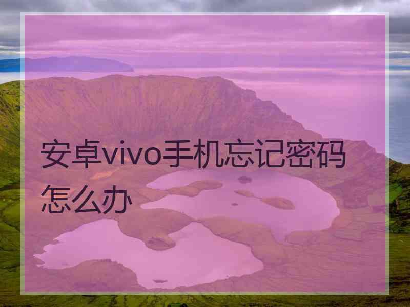 安卓vivo手机忘记密码怎么办