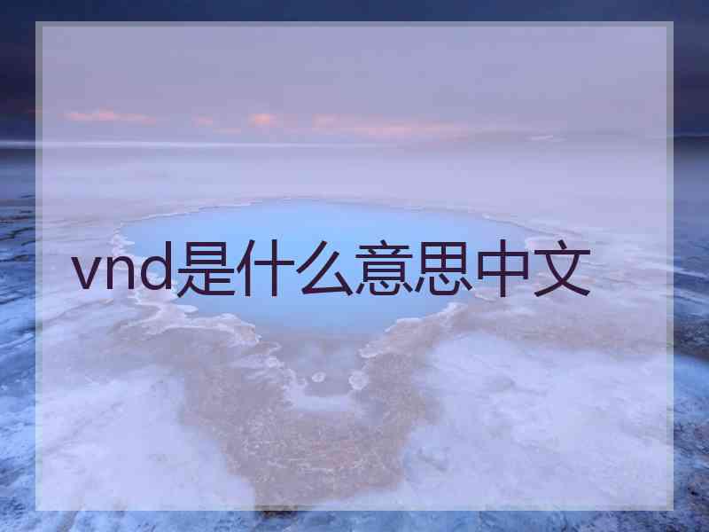 vnd是什么意思中文